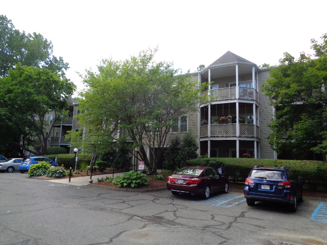 Focused Property Photo