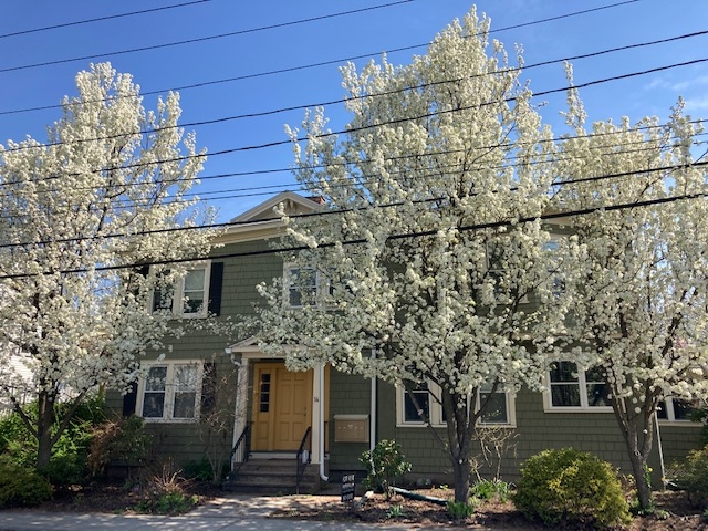Focused Property Photo