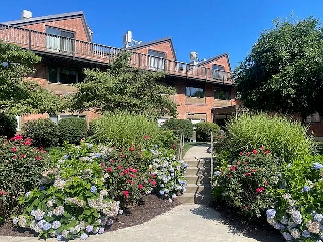 Focused Property Photo
